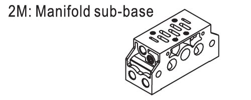 Ordering code manifold