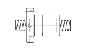 Hiwin Ballscrew FSI Type