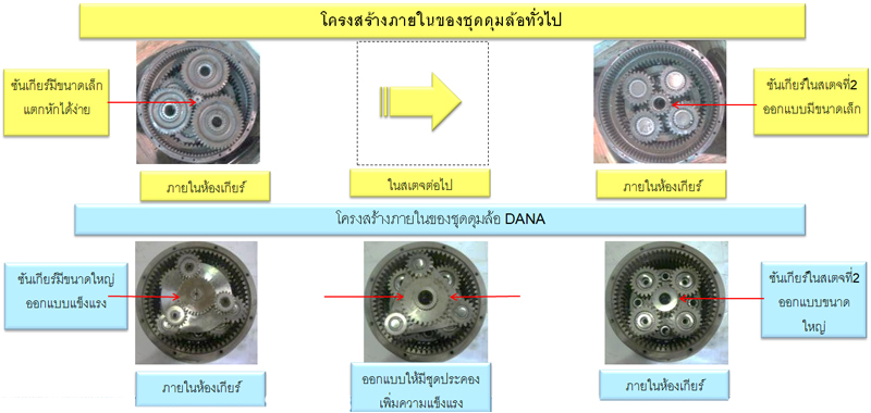 โครงสร้าง dana