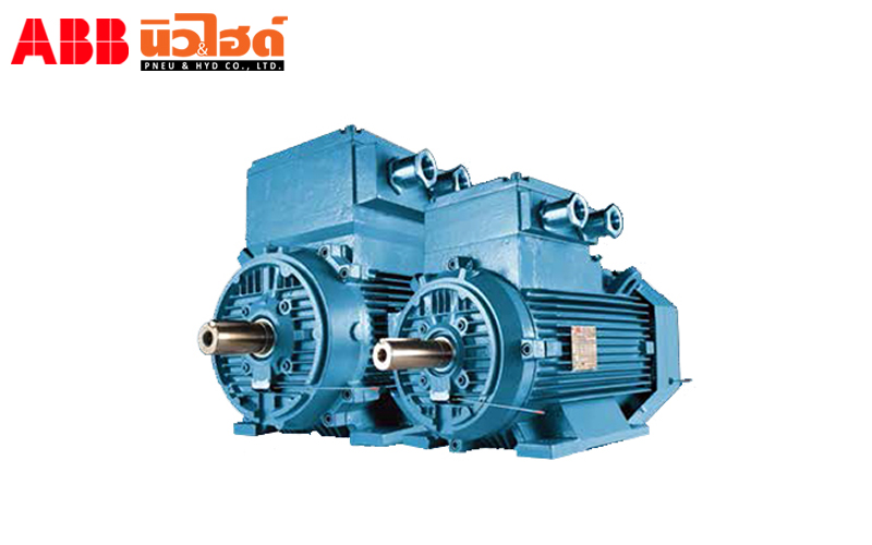 Electric Motor - M2JAX IE2