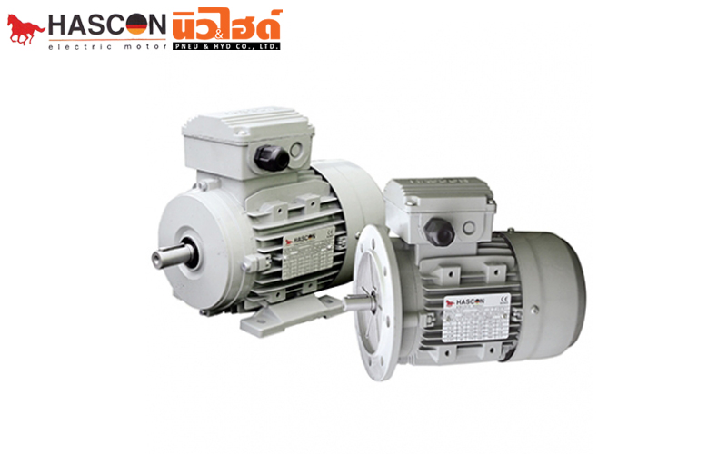 HASCON Electric Motor - HX3 series