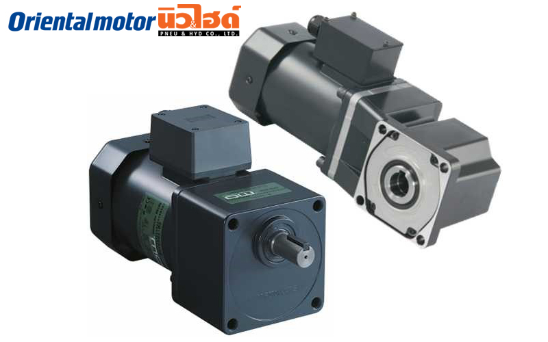 ORIENTAL Electric  Motor - BH series