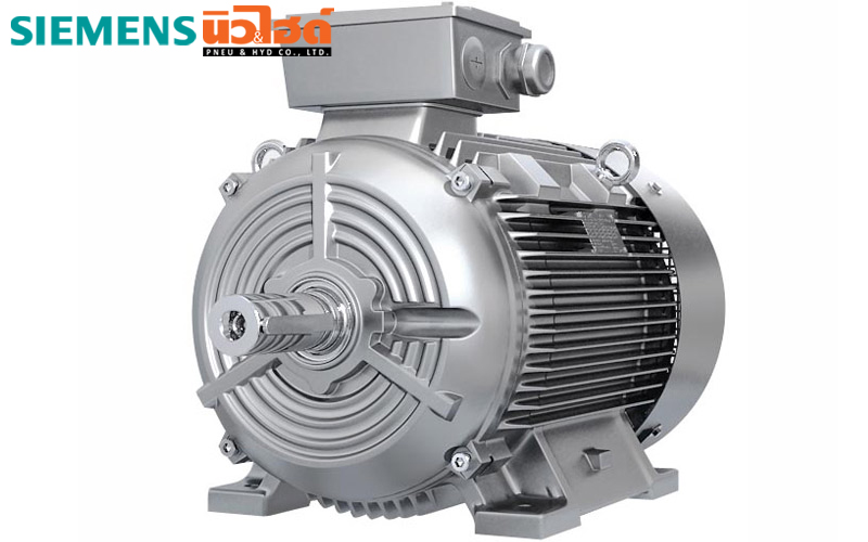 Electric Motor - 1LE0 series