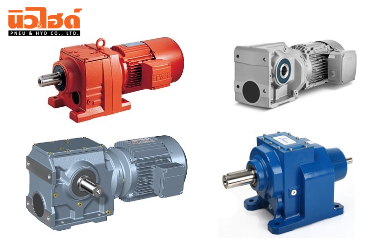 Gear Motor and Gear Box