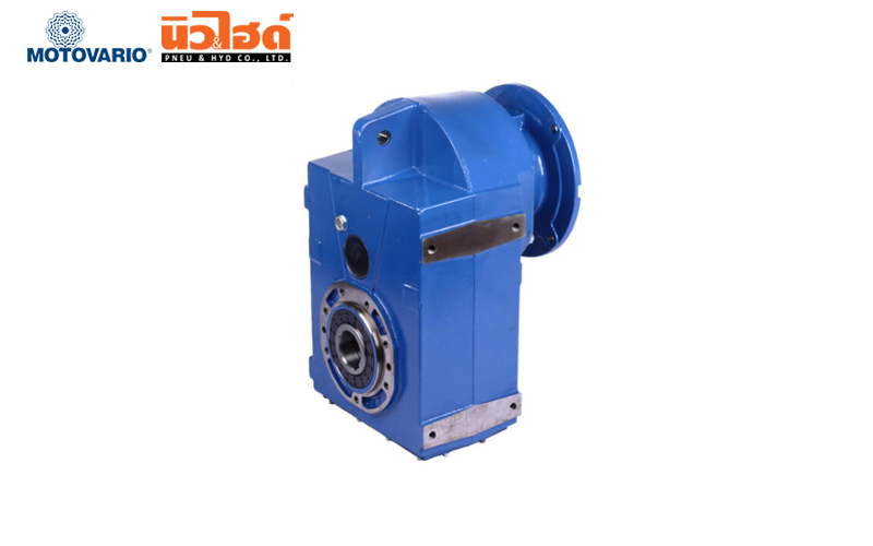 MOTOVARIO Gear Motor - S series Shaft Mounted