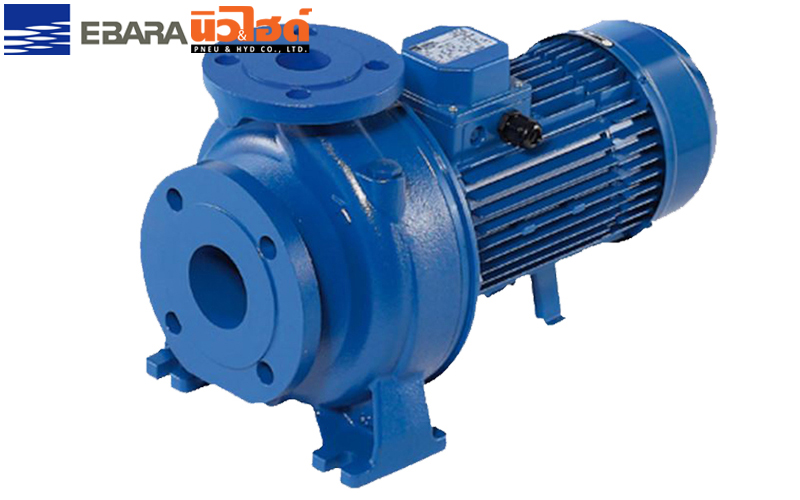 EBARA Water Pump - 3D series (2/4Pole) Centrifugal Water Pump - 3D series (2/4Pole) Centrifugal