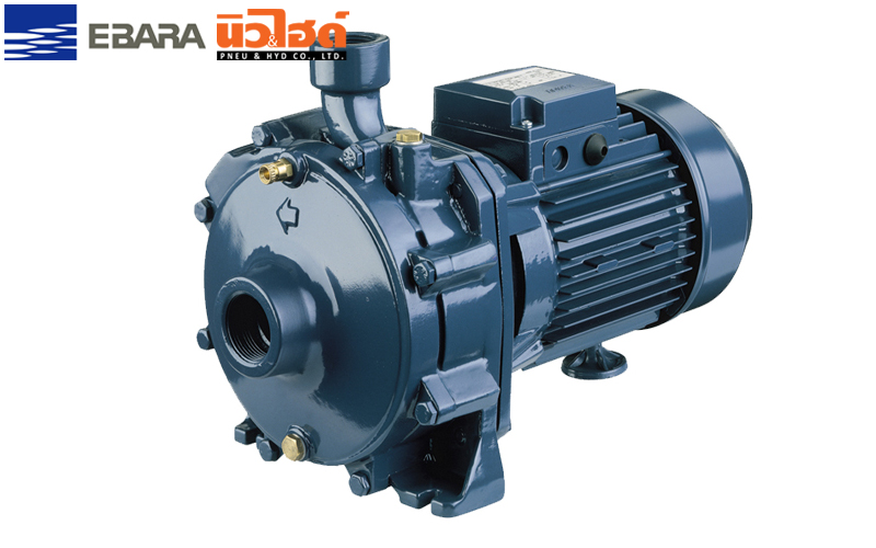 EBARA Water Pump - CDA Centrifugal Water Pump - CDA Centrifugal
