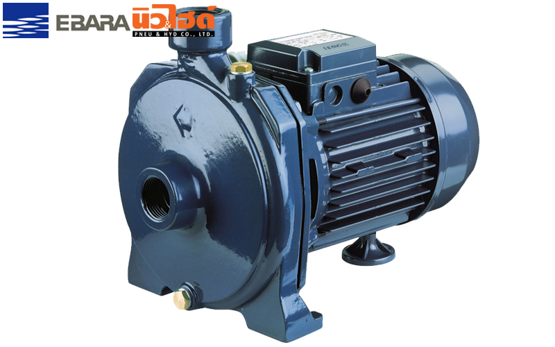 EBARA Water Pump - CM (A-B-C-D) Centrifugal Water Pump - CM (A-B-C-D) Centrifugal